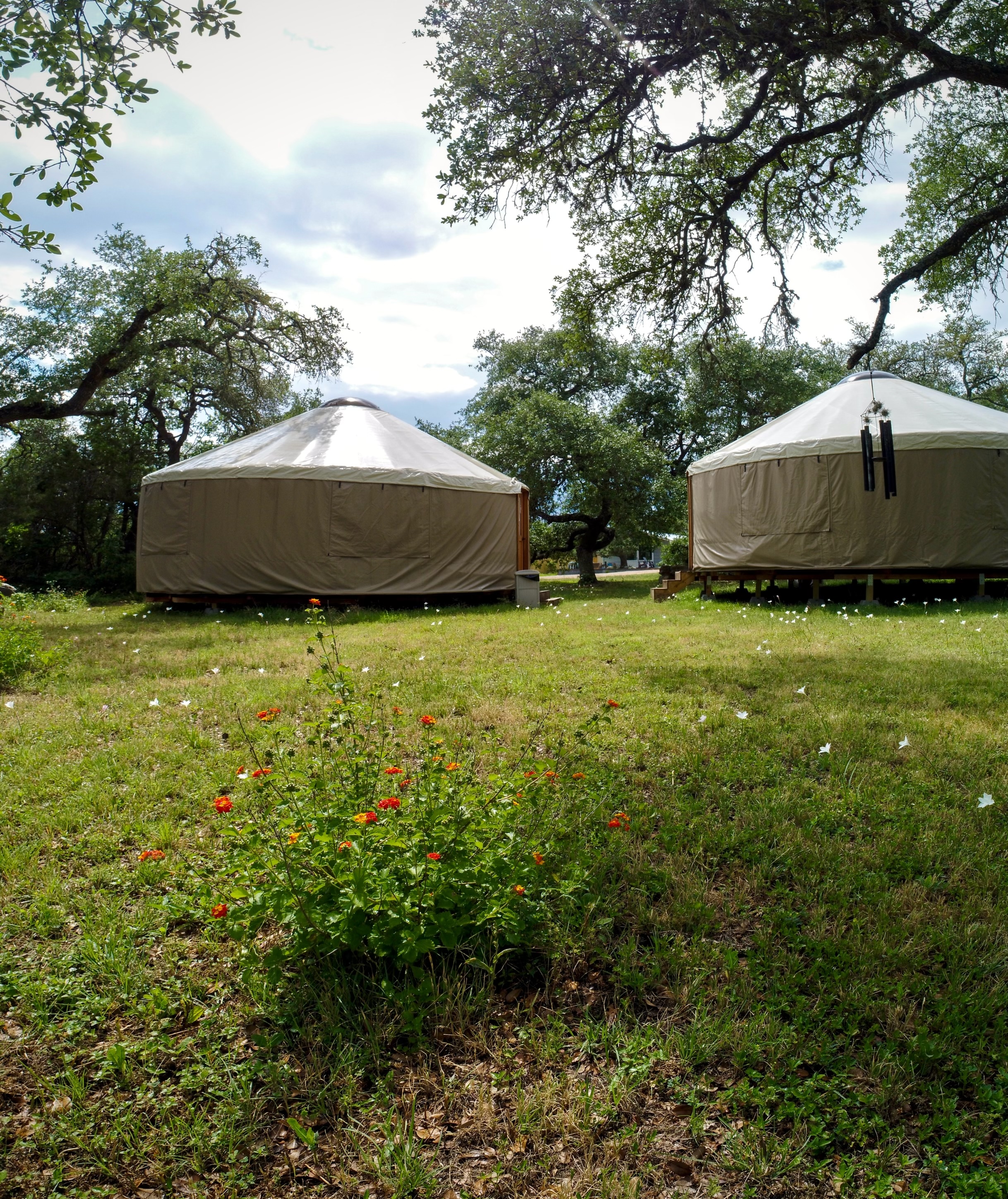 Private yurts under the oaks