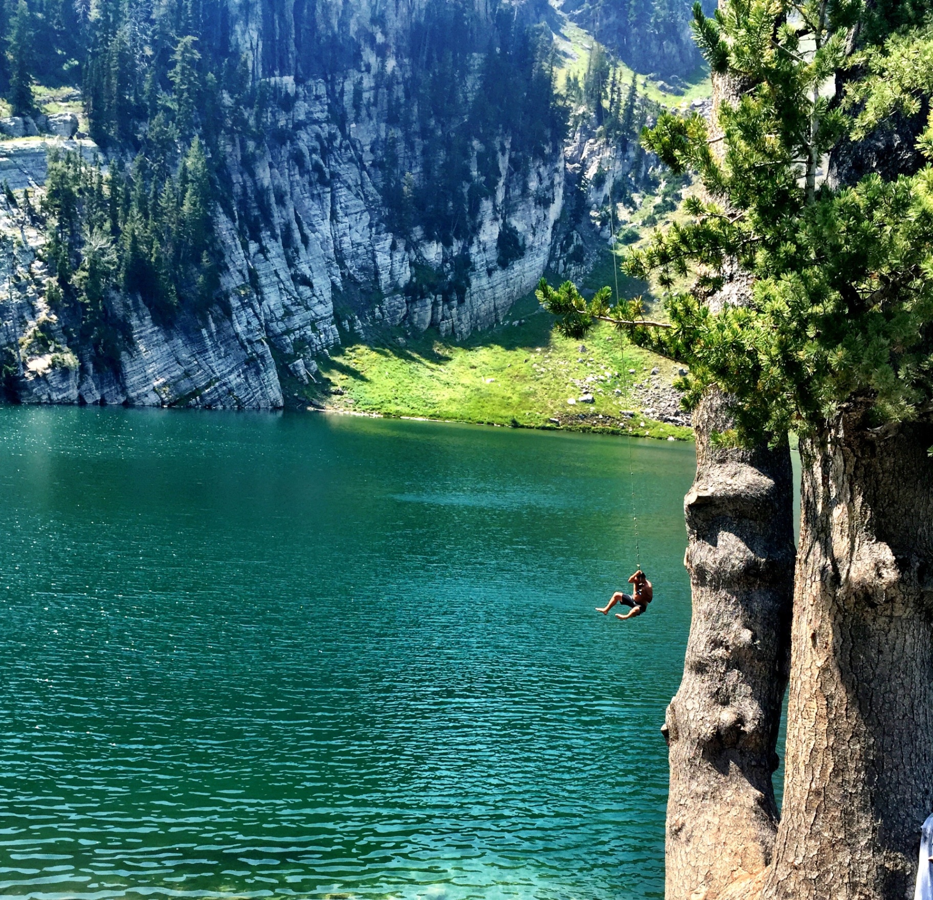 A leap into the unknown